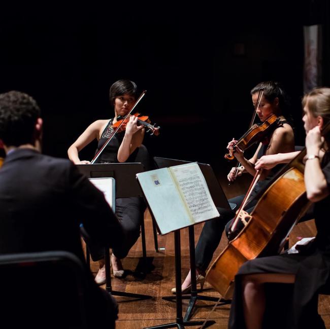Quartet Amí does not hold back when they do chamber music