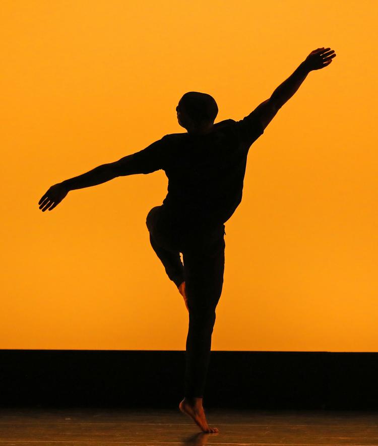 Dancer silhouette during performance