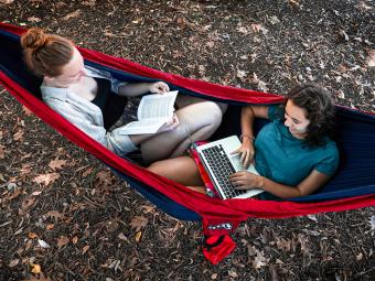 Students on Hammock Reading and Studying