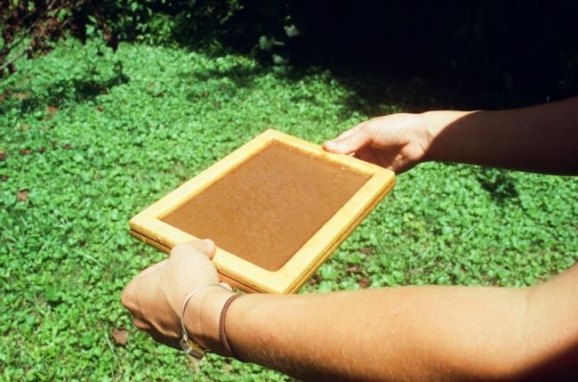 a set of hands holding a paper making device