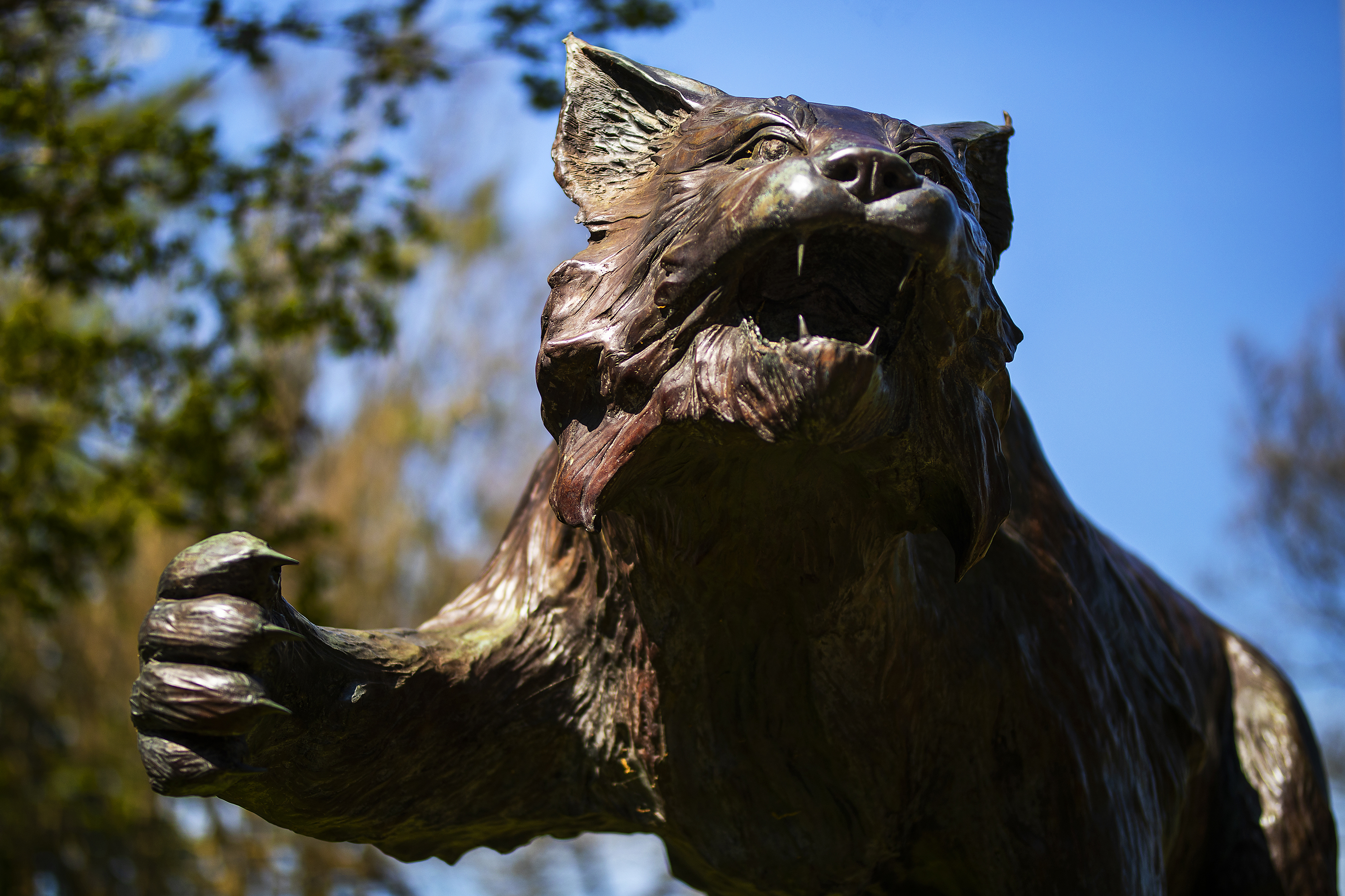 Wildcat Sculpture