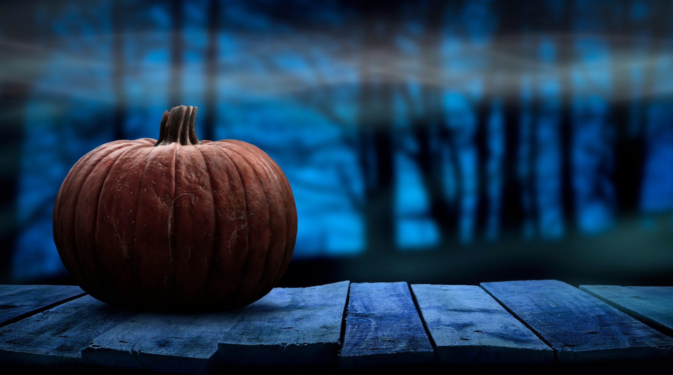 Pumpkin on a wooden porch in the woods