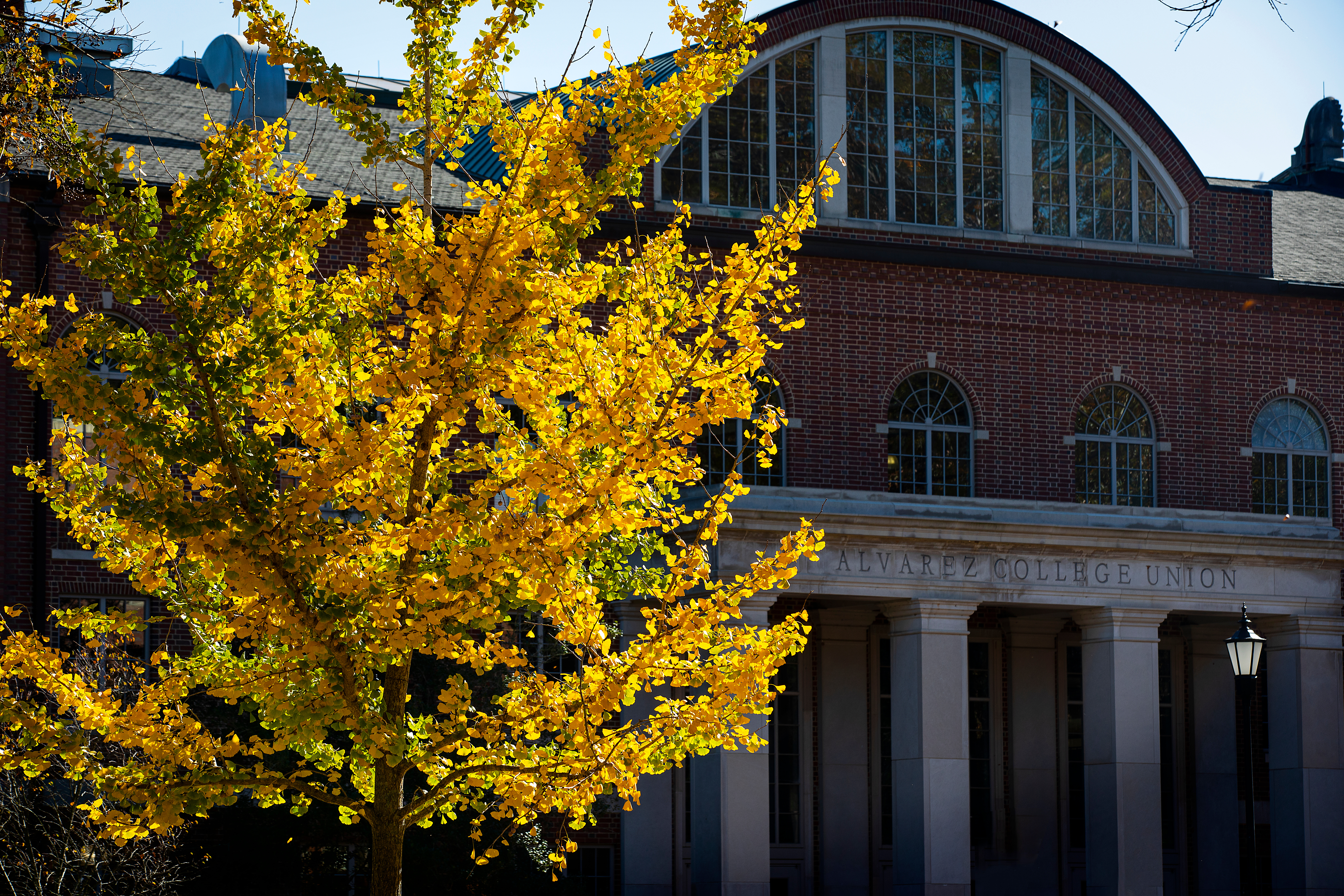 a brick building on a sunny day