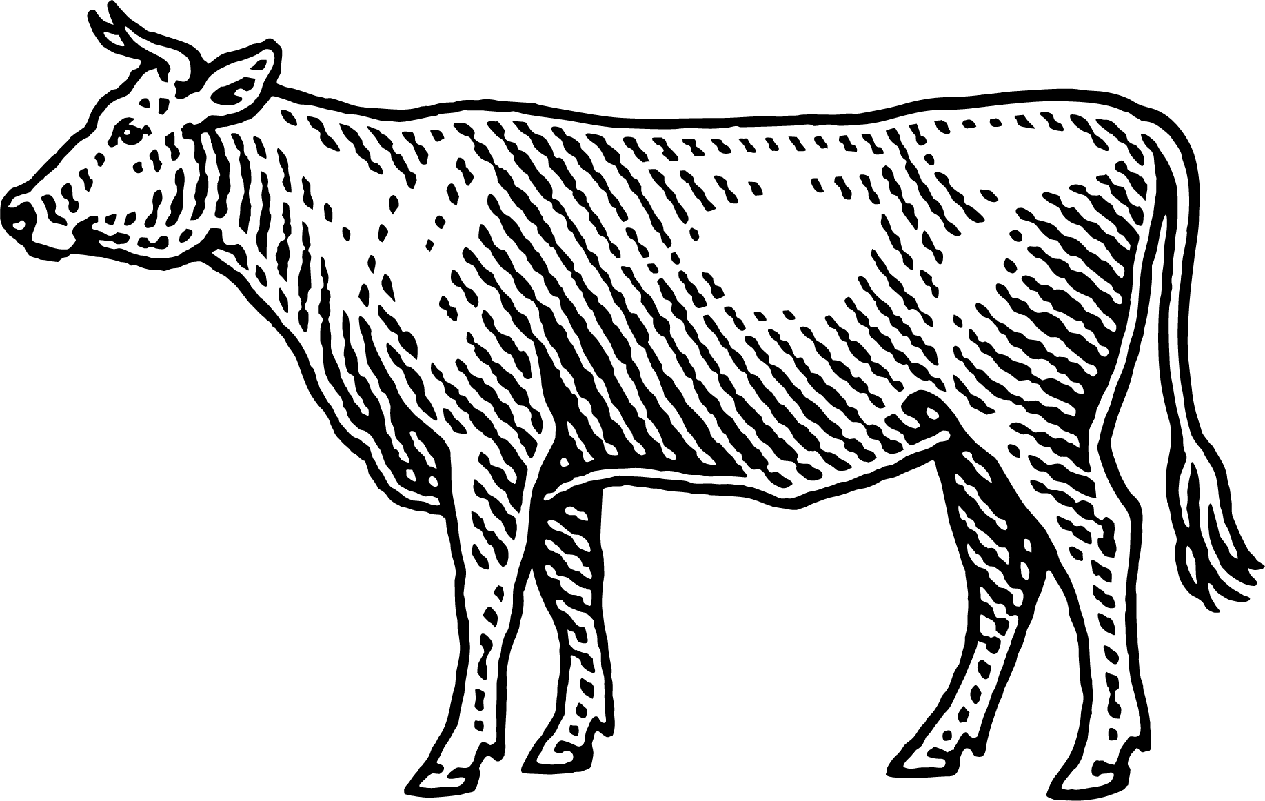 Glue