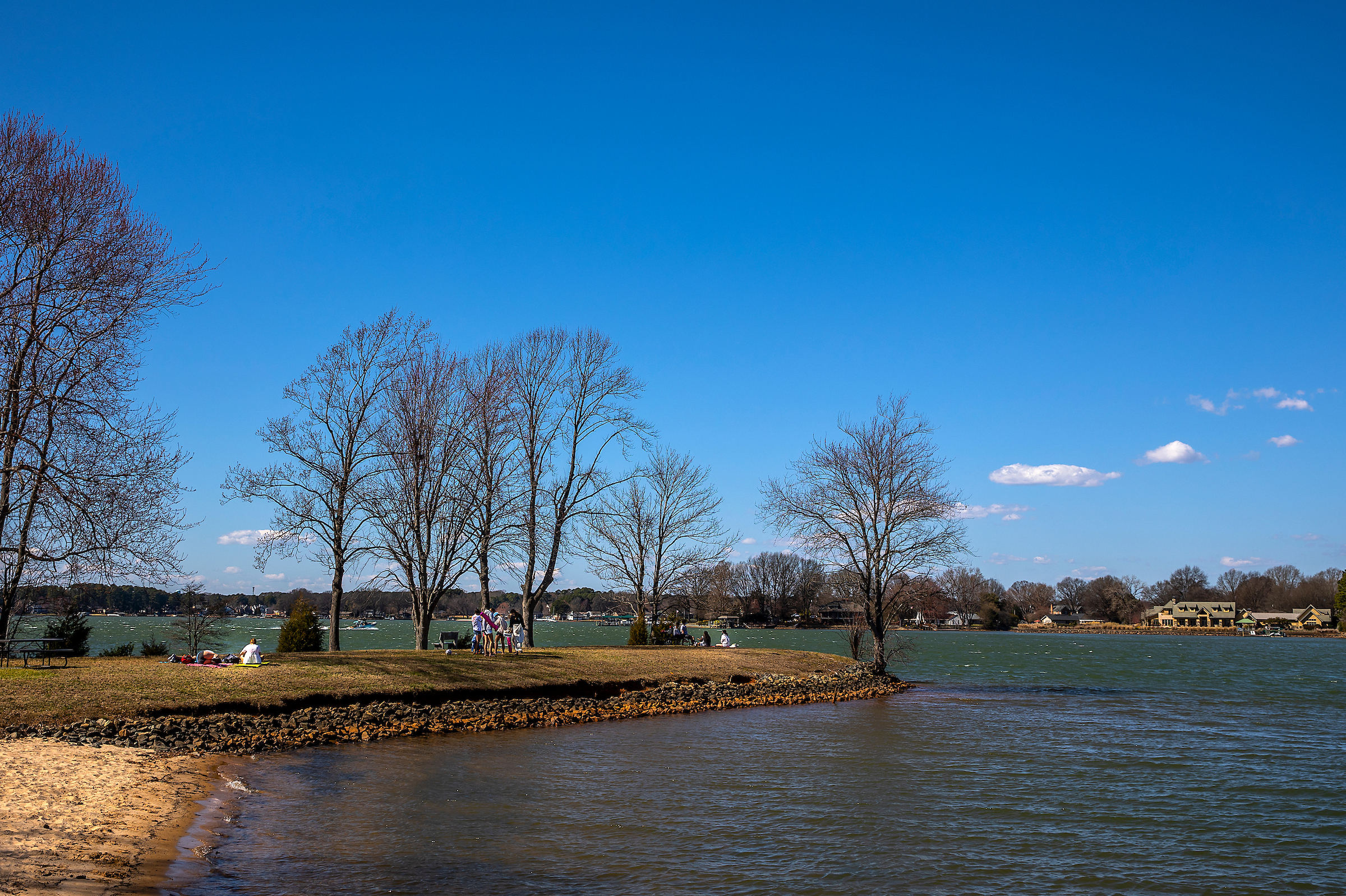 Students gathered under bare trees on a grassy point along the shore at Davidson's Lake Campus on a clear day