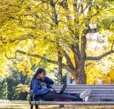 Student on Bench Studying on Laptop Computer Surrounded by Fall Foliage