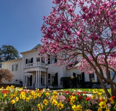 Admission Building in the spring with blooming flowers and trees