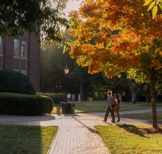 Brick pathways, sunlit colorful trees and students on campus