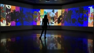 a silhouette stands in front of an art exhibit of colorful images and plants
