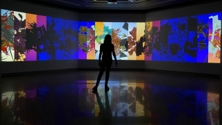 a silhouette stands in front of an art exhibit of colorful images and plants