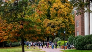 a group of students walk on a college campus in front of a yellow and orange tree