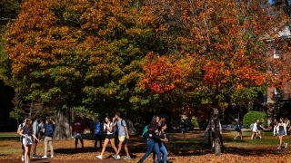 Students wearing backpacks walk past bright autumn foliage on the chambers lawn