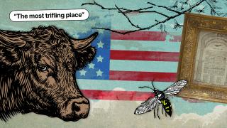 A vintage collage of a cow, negative review ("the most trifling place"), hornet, historic document and american flag