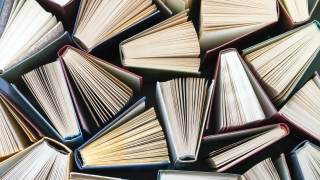 An overhead, top-down view of dozens of hardcover books arranged tightly together, each standing partially open with their paper pages fanning outward to form a geometric pattern.