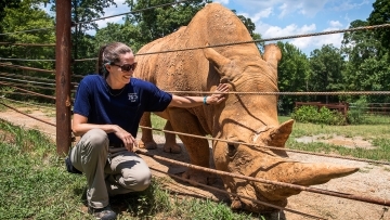 Katie Delk '06 kneels near a rhinoceros 