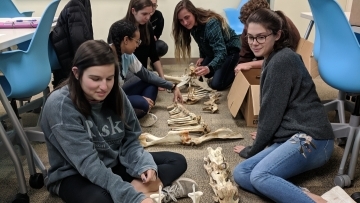 Anthropology students in class with a skeleton 