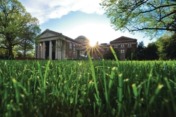 Chambers through blades of grass and the sunrise