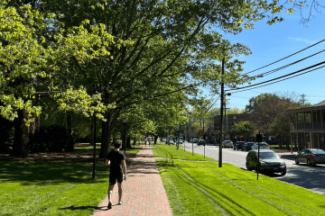a student walks a brick sidewalk along a main street with blue skies in the background