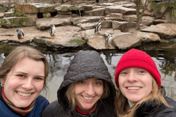 three young women stand in front of a zoo filled with penguins
