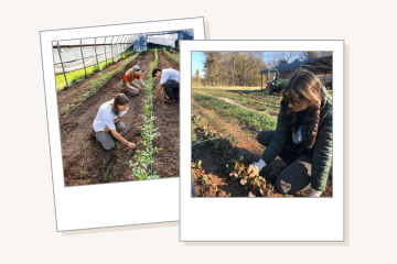 Polaroids of farm students on a tan background