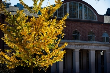 a brick building on a sunny day