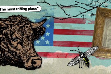 A vintage collage of a cow, negative review ("the most trifling place"), hornet, historic document and american flag