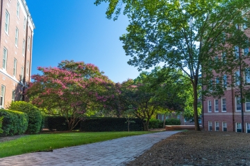 Beautiful Davidson Campus with brick paths and trees