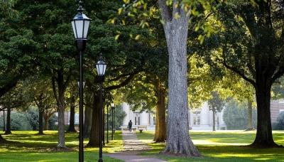 outdoor trees around Davidson College building