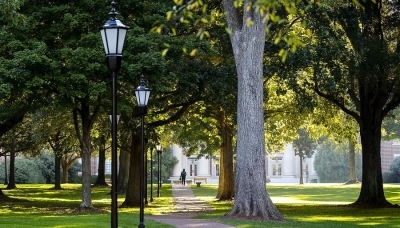 outdoor trees around Davidson College building