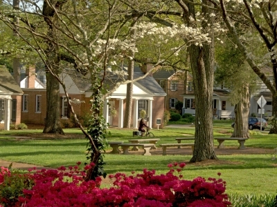 Jackson court with flowers and trees