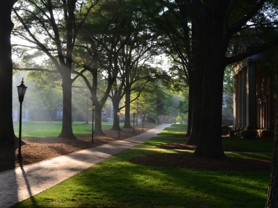 Campus and trees at early morning fog