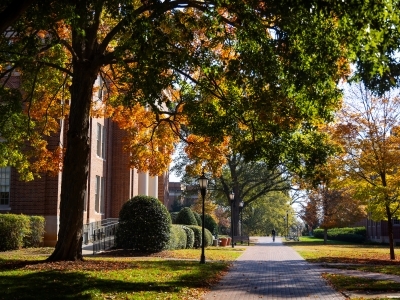 Scene on campus with brick paths, trees and brick building