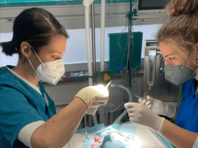 two young women in a vet's lab office