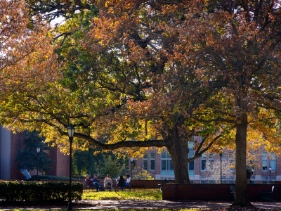 a group of students discuss in a circle with fall foliage in the background