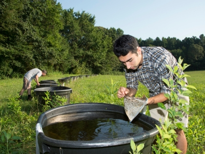 Students taking water samples in the field