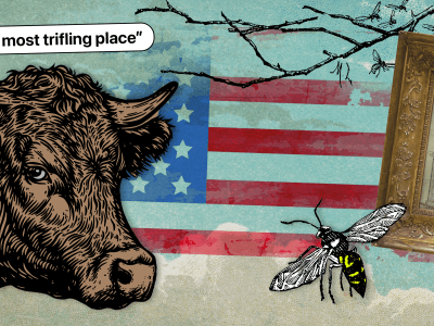 A vintage collage of a cow, negative review ("the most trifling place"), hornet, historic document and american flag