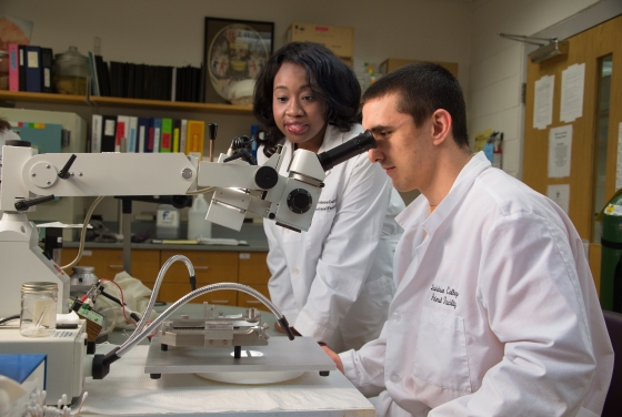 Two students stand at lab bench, one is looking through microscope