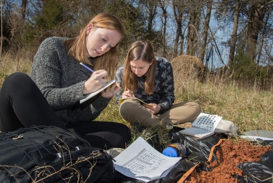 Students sitting on a field taking notes and consulting their textbooks