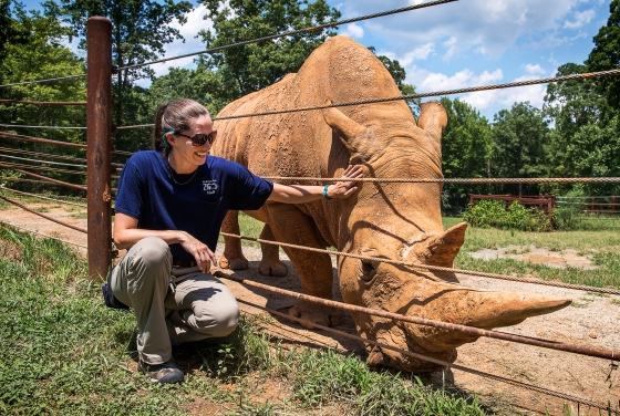 Katie Delk '06 kneels near a rhinoceros 