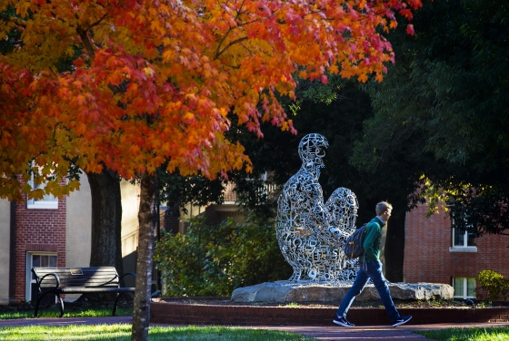 Fall on Campus