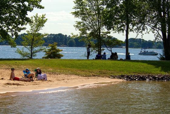 Lake Campus Shore with People Hanging Out