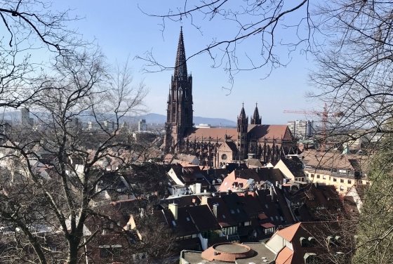 view of city in Germany from a distance