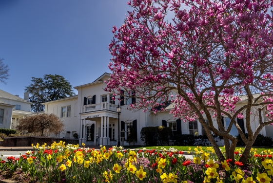 Admission Office Building