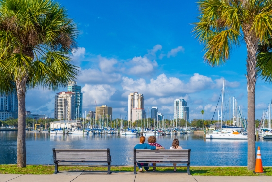 Tampa, Florida View of Skyscrapers and Palm Trees