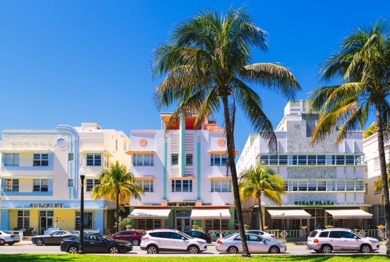 buildings and palm trees in Miami, Florida