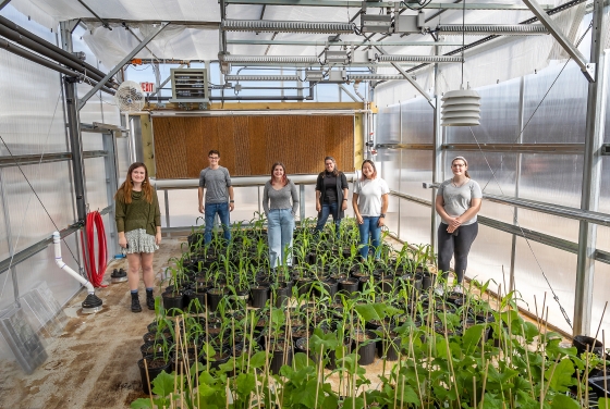 Students in the Peroni greenhouse