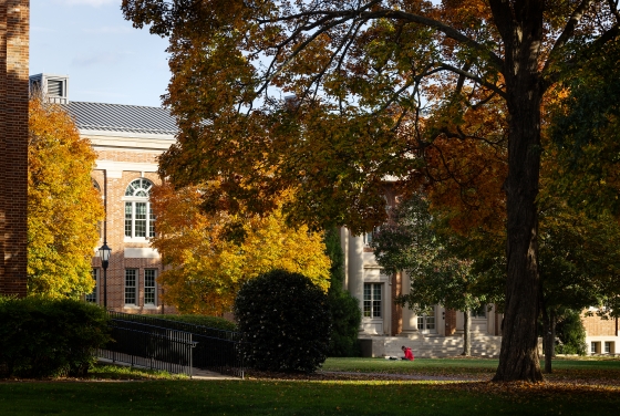 Fall Foliage in front of a brick building