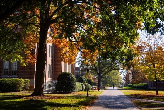 Scene on campus with brick paths, trees and brick building
