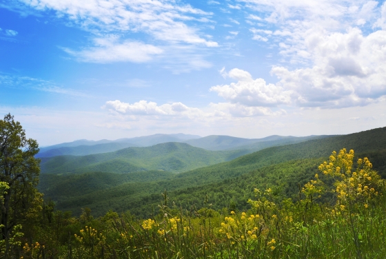 Blue ridge mountains