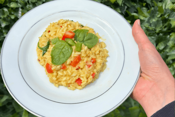 a hand holds a plate of risotto